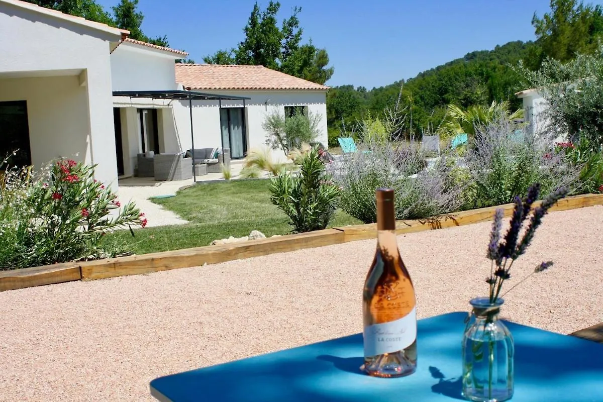 Villa Les Vignes D Antan Le Puy-Sainte-Reparade